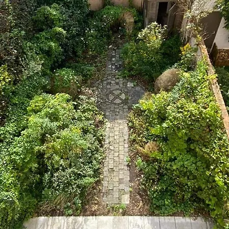 Spacious House In The Historic Center Of *